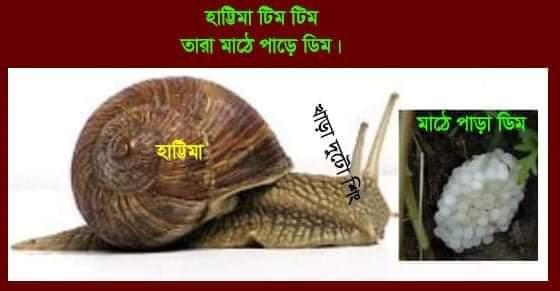 হাট্টিমাটিম টিম কবিতা 1 হাট্টিমাটিম টিম সুকুমার রায়